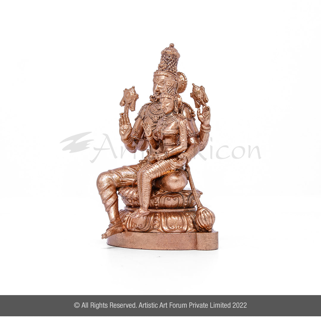 Lakshmi Narayan idol 