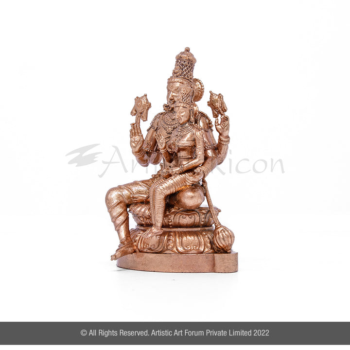 Lakshmi Narayan idol 